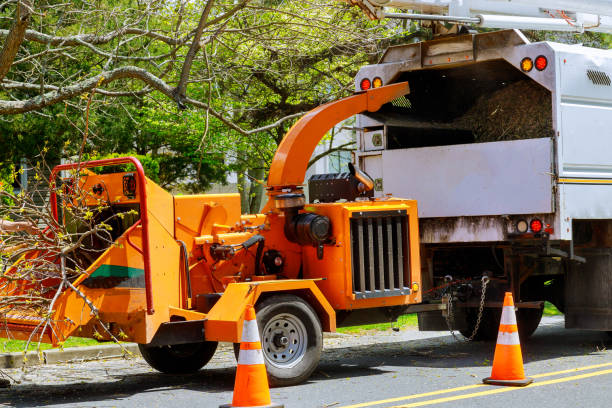 Best Lawn Maintenance Plans  in Yonkers, NY